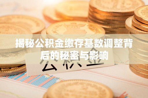 清水河揭秘公积金缴存基数调整背后的秘密与影响