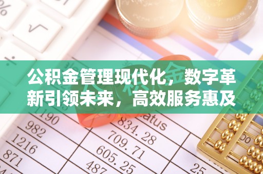 清水河公积金管理现代化，数字革新引领未来，高效服务惠及民生