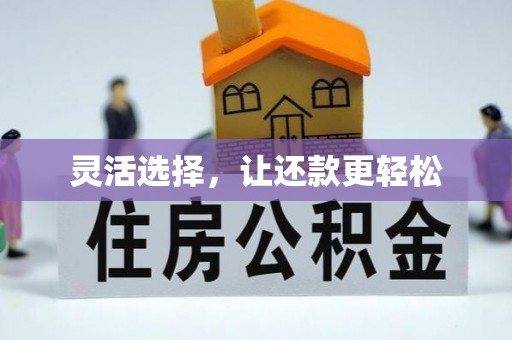 清水河灵活选择，让还款更轻松