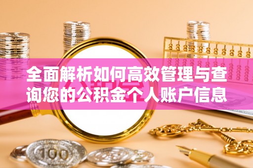 清水河全面解析如何高效管理与查询您的公积金个人账户信息