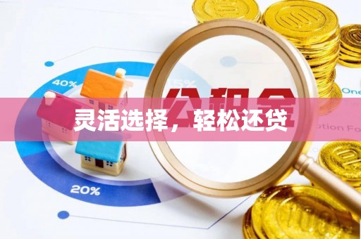 清水河灵活选择，轻松还贷