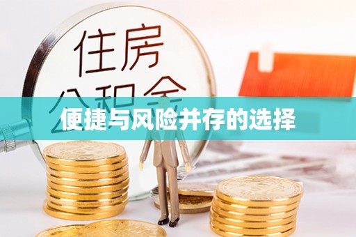 清水河便捷与风险并存的选择